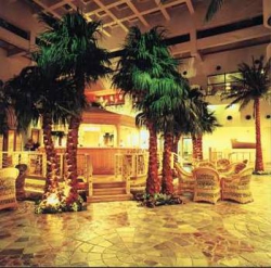 ���� ����� Beijing International 5*