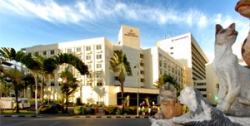 ���� ����� Grand Margherita Hotel 4*