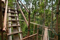 ���� ����� Hilton Batang Ai Longhouse Resort 4*