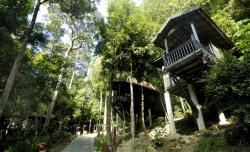 ���� ����� Berjaya Langkawi Resort 4*
