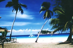 ���� ����� Coral Redang Island Resort 3*
