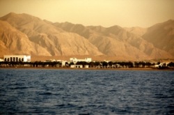 ���� ����� The Chedi Muscat 5*