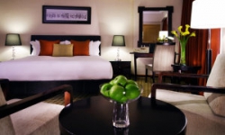 ���� ����� Grand Copthorne Waterfront 5*