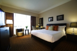 ���� ����� Grand Copthorne Waterfront 5*