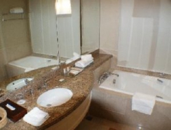 ���� ����� Grand Copthorne Waterfront 5*