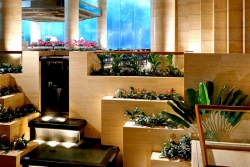 ���� ����� Sheraton Towers Singapore 5*