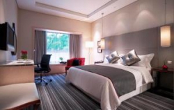 ���� ����� Carlton 4*