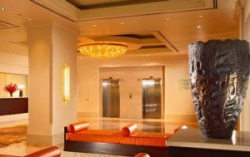 ���� ����� York 4*