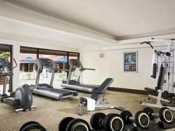 ���� ����� York 4*