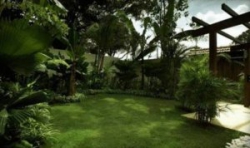 ���� ����� Amara Sanctuary Resort 5*