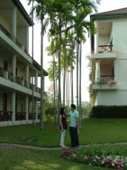 ���� ����� Imperial Chiang Mai Resort Spa& Sports Club 3*