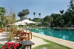 ���� ����� Amari Rincome 4*
