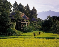���� ����� Four Seasons Chiang Mai 5*