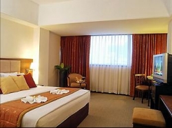 ���� ����� Grand Mercure Park Avenue 4*