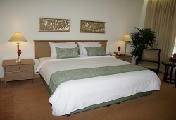 ���� ����� Indra Regent 4*
