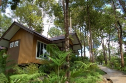 ���� ����� Nisa Cabana 4*