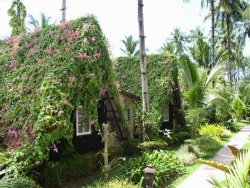���� ����� Koh Chang Resort SPA 3*
