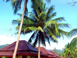 ���� ����� Klong Prao Resort 3*
