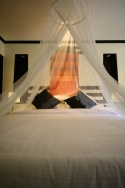 ���� ����� ROYAL ORCHID RESORT 4*