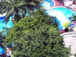���� ����� Cholchan Resort 4*