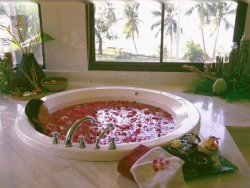 ���� ����� Central Wong Amat 4*