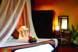 ���� ����� At Panta 4*