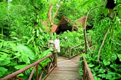 ���� ����� Marina Phuket Resort 4*