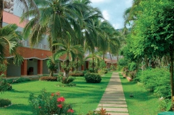 ���� ����� Patong Resort 3*