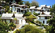 ���� ����� Treetops Arasia 5*