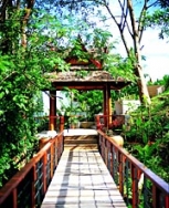 ���� ����� Treetops Arasia 5*