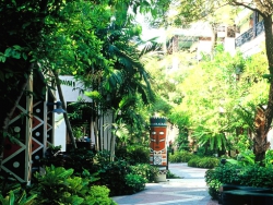 ���� ����� Chaba Samui Resort 3*