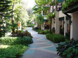 ���� ����� Chaba Samui Resort 3*
