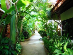 ���� ����� The White House 4*
