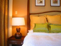 ���� ����� Taal Vista 4*