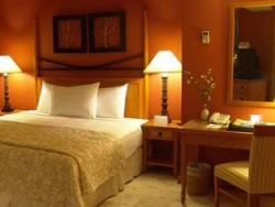 ���� ����� Vivere 4*