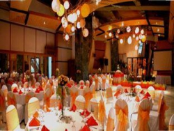 ���� ����� Vivere 4*