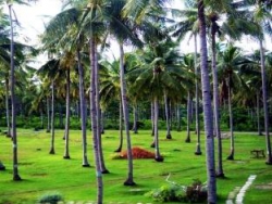 ���� ����� Bahura Resort and Spa 4*
