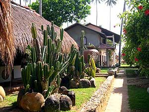 ���� ����� Dicwella Resort 4*