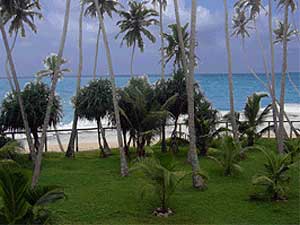 ���� ����� Unawatuna Beach Resort 3*