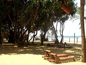 ���� ����� Siddhalepa Ayurveda Health Resort 4*