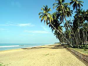 ���� ����� Royal Palms Beach Hotel 5*