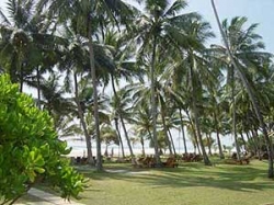 ���� ����� Serendib Hotel 3*