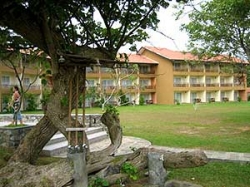 ���� ����� The Palms Hotel 4*