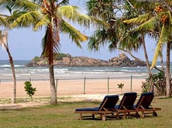 ���� ����� The Palms Hotel 4*