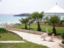 ���� ����� Nissi Beach 4*
