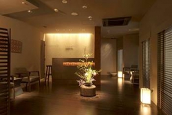 ���� ����� The Prince Hakone 4*