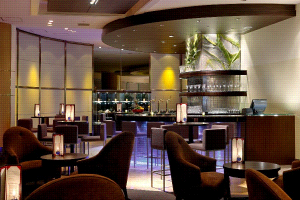 ���� ����� Hilton Narita 4*