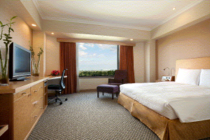 ���� ����� Hilton Narita 4*