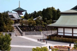 ���� ����� Hilton Narita 4*