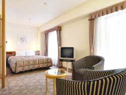 ���� ����� New Otani Sapporo 4*